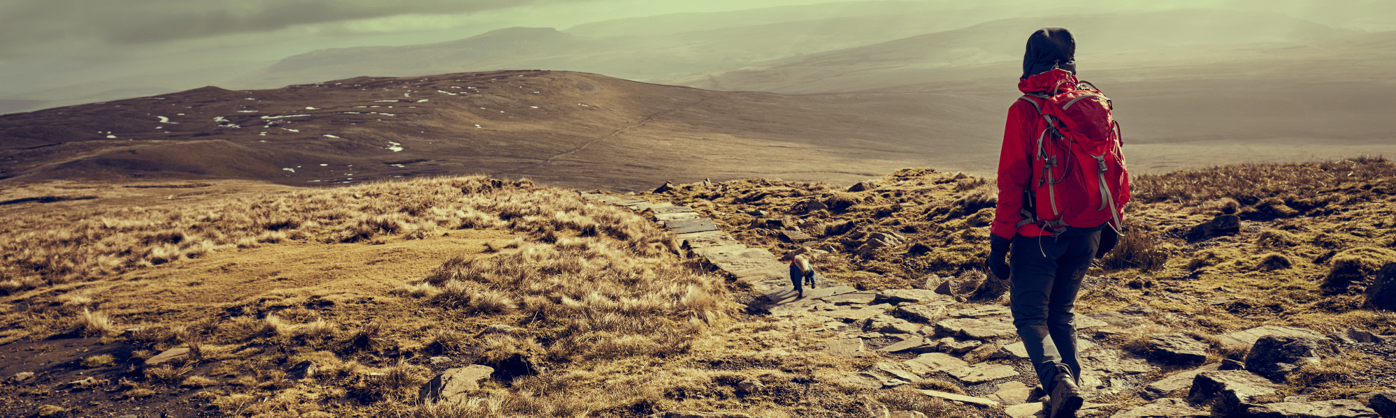 A picture of someone walking with their dog in the hills, they're wearing a red coat and backpack.
