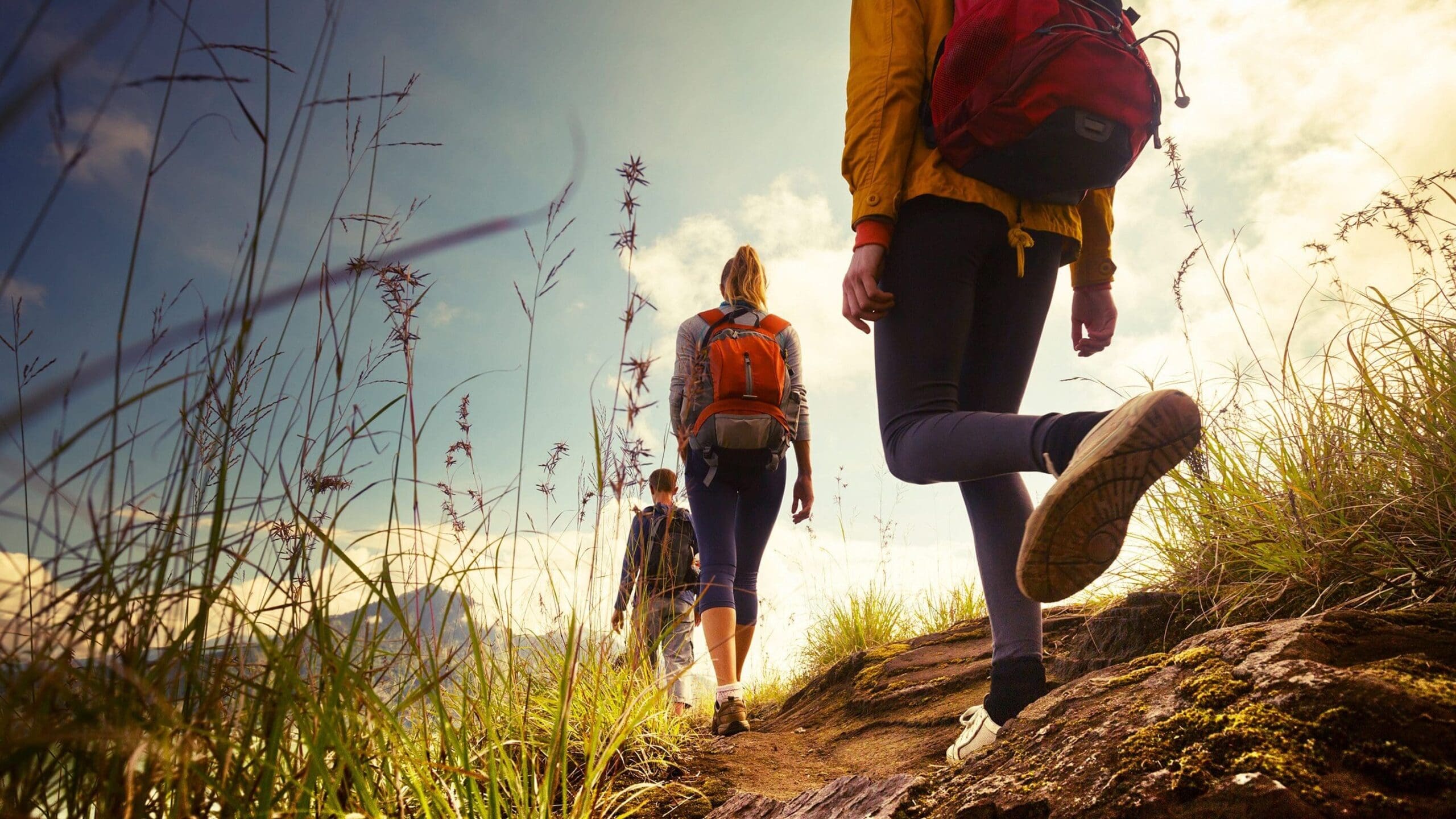 A perspective image of walkers, wearing backpacks and walking through grassland.