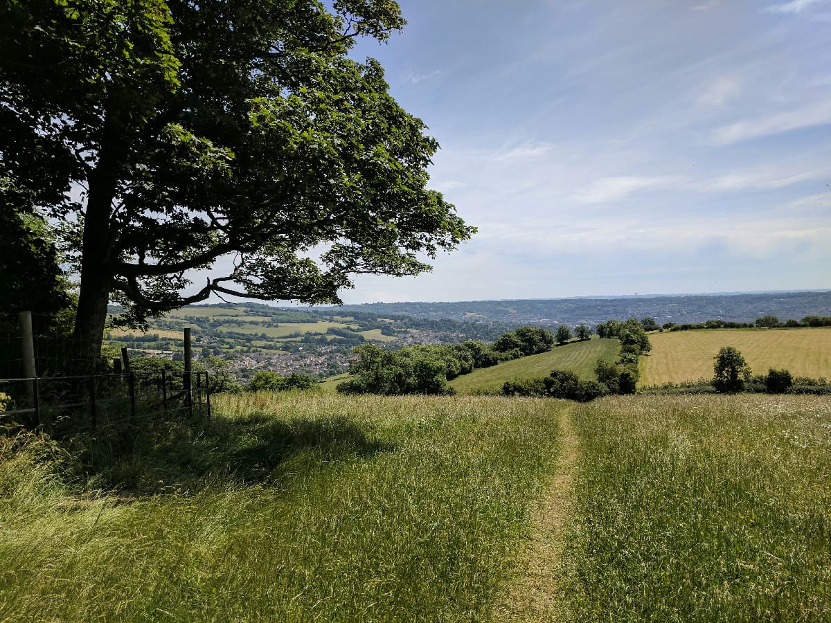 Cotswold landscape with fields, trees, and blue skies during the Rally Round Rupert charity fundraiser.