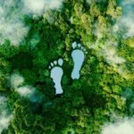 Aerial forest view with footprint-shaped clearings, representing sustainability.