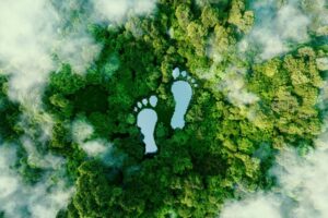 Aerial forest view with footprint-shaped clearings, representing sustainability.