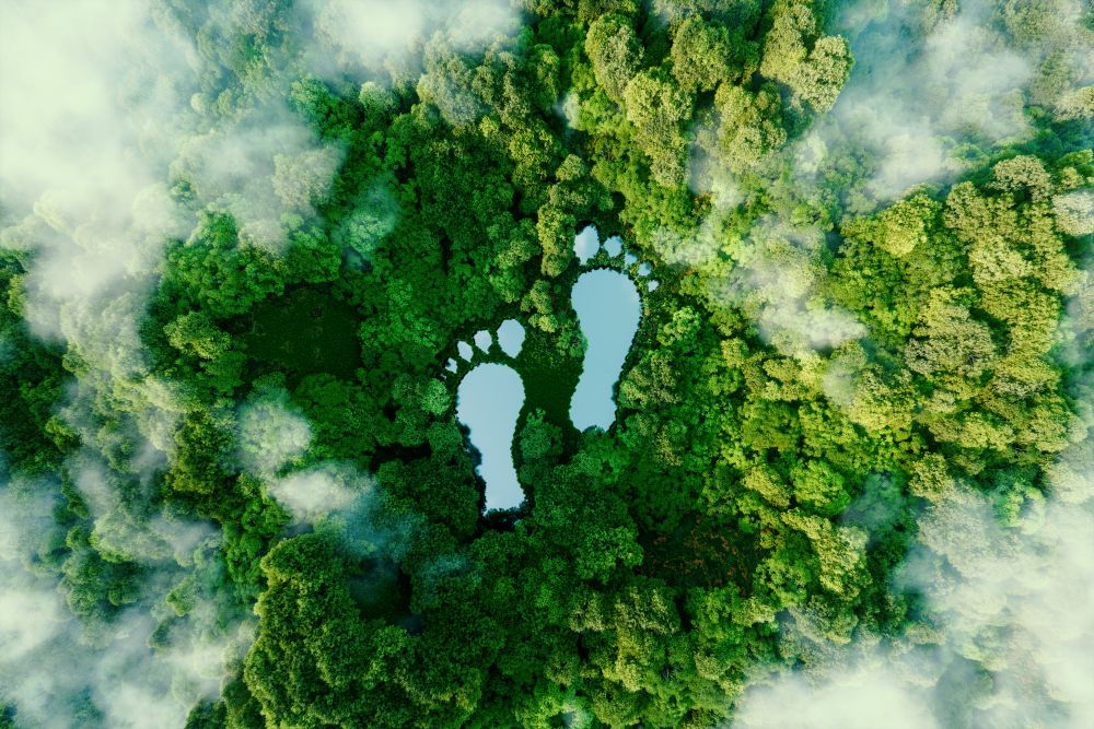 Aerial forest view with footprint-shaped clearings, representing sustainability.
